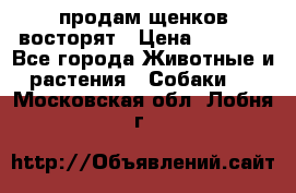 продам щенков восторят › Цена ­ 7 000 - Все города Животные и растения » Собаки   . Московская обл.,Лобня г.